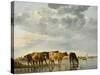 Cows in a River-Aelbert Cuyp-Stretched Canvas