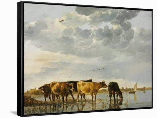 Cows in a River-Aelbert Cuyp-Framed Stretched Canvas