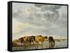 Cows in a River-Aelbert Cuyp-Framed Stretched Canvas