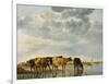 Cows in a River-Aelbert Cuyp-Framed Giclee Print