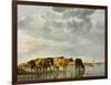 Cows in a River-Aelbert Cuyp-Framed Giclee Print