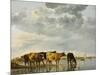 Cows in a River-Aelbert Cuyp-Mounted Giclee Print