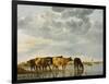 Cows in a River-Aelbert Cuyp-Framed Giclee Print