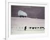 Cows in a Snowstorm-Maggie Rowe-Framed Giclee Print