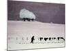 Cows in a Snowstorm-Maggie Rowe-Mounted Giclee Print