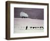 Cows in a Snowstorm-Maggie Rowe-Framed Giclee Print