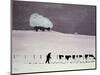 Cows in a Snowstorm-Maggie Rowe-Mounted Giclee Print