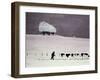 Cows in a Snowstorm-Maggie Rowe-Framed Giclee Print