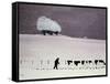 Cows in a Snowstorm-Maggie Rowe-Framed Stretched Canvas