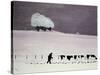 Cows in a Snowstorm-Maggie Rowe-Stretched Canvas