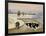 Cows in a Winter River-Margaret Loxton-Framed Giclee Print