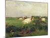 Cows in Field, 1895-Walter Frederick Osborne-Mounted Giclee Print