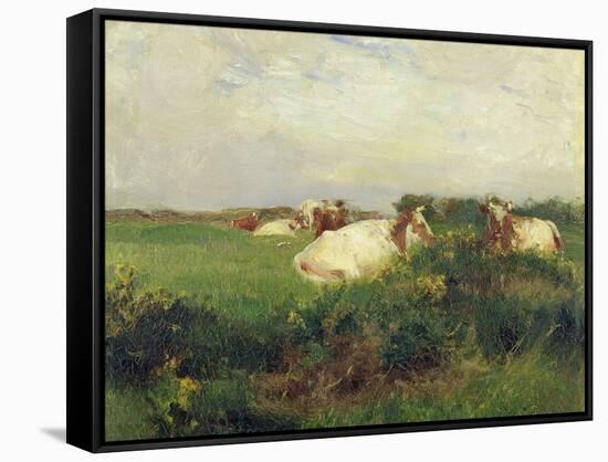 Cows in Field, 1895-Walter Frederick Osborne-Framed Stretched Canvas