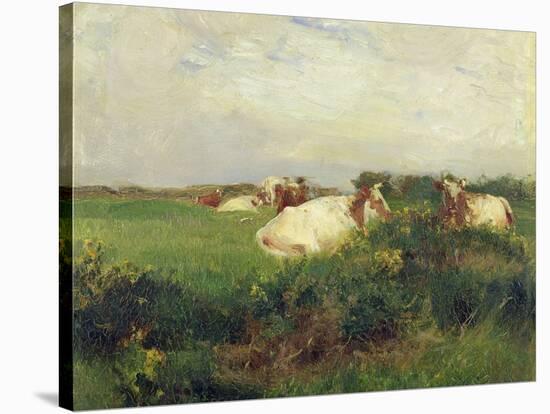 Cows in Field, 1895-Walter Frederick Osborne-Stretched Canvas
