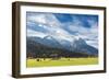 Cows in the green pastures framed by the high peaks of the Alps, Garmisch Partenkirchen, Upper Bava-Roberto Moiola-Framed Photographic Print