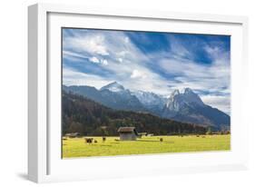 Cows in the green pastures framed by the high peaks of the Alps, Garmisch Partenkirchen, Upper Bava-Roberto Moiola-Framed Photographic Print