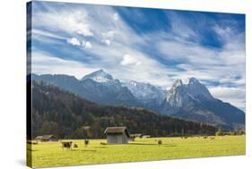 Cows in the green pastures framed by the high peaks of the Alps, Garmisch Partenkirchen, Upper Bava-Roberto Moiola-Stretched Canvas