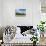 Cows in the green pastures framed by the high peaks of the Alps, Garmisch Partenkirchen, Upper Bava-Roberto Moiola-Photographic Print displayed on a wall