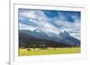 Cows in the green pastures framed by the high peaks of the Alps, Garmisch Partenkirchen, Upper Bava-Roberto Moiola-Framed Photographic Print