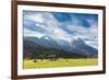 Cows in the green pastures framed by the high peaks of the Alps, Garmisch Partenkirchen, Upper Bava-Roberto Moiola-Framed Photographic Print