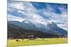 Cows in the green pastures framed by the high peaks of the Alps, Garmisch Partenkirchen, Upper Bava-Roberto Moiola-Mounted Photographic Print