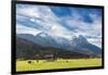 Cows in the green pastures framed by the high peaks of the Alps, Garmisch Partenkirchen, Upper Bava-Roberto Moiola-Framed Photographic Print