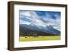 Cows in the green pastures framed by the high peaks of the Alps, Garmisch Partenkirchen, Upper Bava-Roberto Moiola-Framed Photographic Print