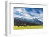 Cows in the green pastures framed by the high peaks of the Alps, Garmisch Partenkirchen, Upper Bava-Roberto Moiola-Framed Photographic Print