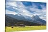 Cows in the green pastures framed by the high peaks of the Alps, Garmisch Partenkirchen, Upper Bava-Roberto Moiola-Stretched Canvas