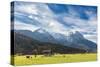 Cows in the green pastures framed by the high peaks of the Alps, Garmisch Partenkirchen, Upper Bava-Roberto Moiola-Stretched Canvas