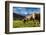 Cows in the green pastures framed by the high peaks of the Alps, Garmisch Partenkirchen, Upper Bava-Roberto Moiola-Framed Photographic Print