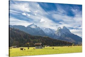 Cows in the green pastures framed by the high peaks of the Alps, Garmisch Partenkirchen, Upper Bava-Roberto Moiola-Stretched Canvas