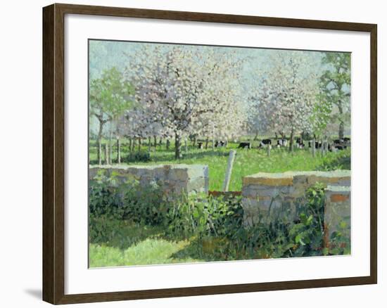 Cows in the Orchard, 1988-Lucy Willis-Framed Giclee Print