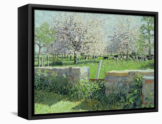 Cows in the Orchard, 1988-Lucy Willis-Framed Stretched Canvas
