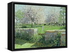 Cows in the Orchard, 1988-Lucy Willis-Framed Stretched Canvas