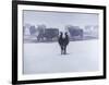 Cows in the Snow-Todd Telander-Framed Art Print