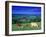 Cows in the Valley, South Wales-Peter Adams-Framed Premium Photographic Print