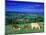 Cows in the Valley, South Wales-Peter Adams-Mounted Premium Photographic Print