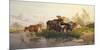 Cows in the Water Meadows-Thomas Cooper-Mounted Giclee Print