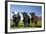 Cows, Kaikoura, Seaward Kaikoura Ranges, Marlborough, South Island, New Zealand-David Wall-Framed Photographic Print