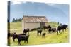 Cows of Aosta Valley, Vetan, Aosta Valley, Italian Alps, Italy, Europe-Nico Tondini-Stretched Canvas