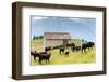 Cows of Aosta Valley, Vetan, Aosta Valley, Italian Alps, Italy, Europe-Nico Tondini-Framed Photographic Print