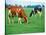 Cows on pasture-null-Stretched Canvas