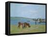 Cows on the Banks of the Seine at Saint-Mammes (Pastel)-Alfred Sisley-Framed Stretched Canvas