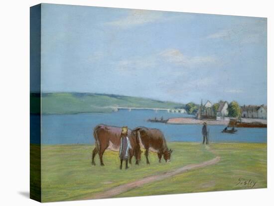 Cows on the Banks of the Seine at Saint-Mammes (Pastel)-Alfred Sisley-Stretched Canvas