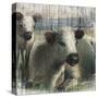 Cows on Vintage Wood-null-Stretched Canvas