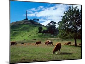 Cows, One Tree Hill, Auckland-David Wall-Mounted Photographic Print