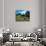 Cows, One Tree Hill, Auckland-David Wall-Photographic Print displayed on a wall