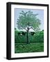 Cows under an Apple Tree, 1981 (Gouache)-Liz Wright-Framed Giclee Print