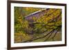 Cox Ford Covered Bridge over Sugar Creek in Parke County, Indiana-Chuck Haney-Framed Photographic Print